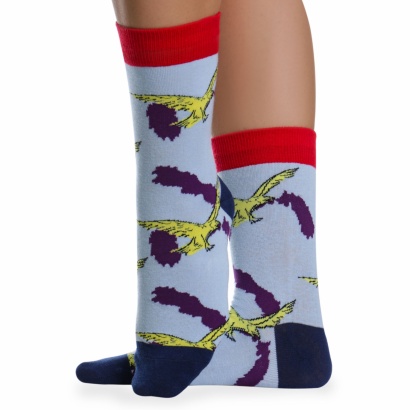 Носки хлопковые с ярким принтом " Super socks LTB-208 " голубые р:37-43 фото 110554
