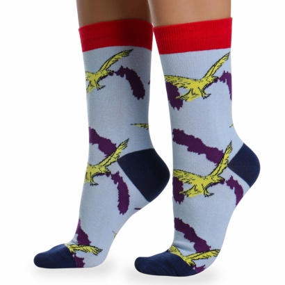 Носки хлопковые с ярким принтом " Super socks LTB-208 " голубые р:37-43 фото 110555